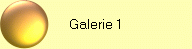 Galerie 1